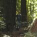 Todd Banks - Facebook
