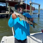 Todd Bartman - @todd.bartman - Instagram