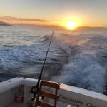Todd Bashaw - @dodger83110 - Instagram