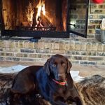 Todd Baumgartner - @megsam1020 - Instagram