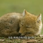 @todd__bear - Instagram
