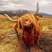 Todd Bear - Facebook