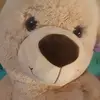 todd_bear - @todd_bear - TikTok