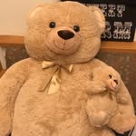 Todd The Bear - @todd_the_bear123 - Instagram