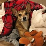 Todd Beatty - @todd_beatty - Instagram