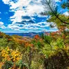 Todd Beatty Photography - @todd_beatty - TikTok