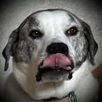 Todd Behringer - @todd_behringer - Instagram