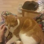 Todd Biggs - @todd.biggs.12 - Instagram