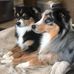 Todd Bjork - Facebook