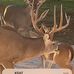Todd Blackman - Facebook