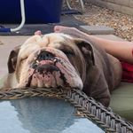 Todd Blanton - @throm2006 - Instagram