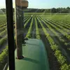 Todd Blanton - @todd.blanton - TikTok