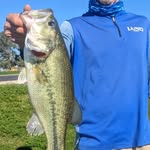 Todd Blue - @blues_camp - Instagram