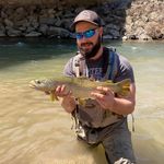 Roddy Todd Bode Todd - @boner_mcnulty - Instagram
