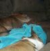 Todd Boley - Facebook