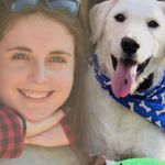 Todd Bolin - @bridge_dad - Instagram
