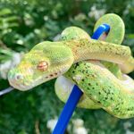 Todd Boling - @toddboling7 - Instagram