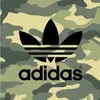 todd.hulsebosch - @todd.hulsebosch - TikTok