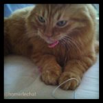 Todd Boudreau - @hartgrazen - Instagram