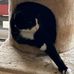 Todd Boudreau - Facebook