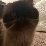 Todd Boudreau - @rottium - Instagram