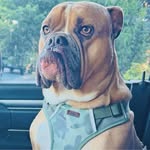Todd Boyce - @toddboyce3276 - Instagram