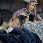 Todd-Wendi Boyce - @pugs_max_teddy_lola - Instagram
