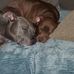 Todd Boyles - Facebook