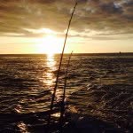 Todd Braswell - @brasw3ll - Instagram