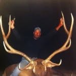 Todd Braswell - @todd_b247 - Instagram
