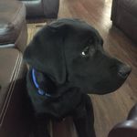 Todd Bray - @tbrayymca - Instagram