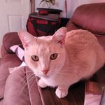 Todd Brewer - @todd.brewer.3737 - Instagram
