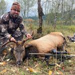 Todd Brewer - @toddbrewer2 - Instagram