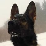 Todd Brinkerhoff - @brinkerhofftodd - Instagram