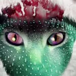 Todd - @todd_brown_ - Instagram