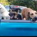 Todd Bayles - Facebook