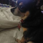 Todd Buckner - @todd.buckner.79 - Instagram