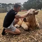 Todd Budden - @superhumantoddles - Instagram