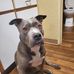 Todd Butler - Facebook