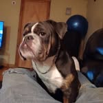 Todd Burdick - @todd.burdick.984 - Instagram