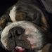 Todd Burdick - Facebook