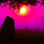 Todd Burk Kimberly - @toddburkkimberly - Instagram