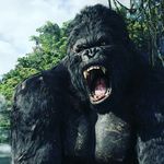 Todd Burks - @kkong2181 - Instagram