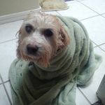 todd burnette - @todd.burnette - Instagram