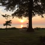 Todd Burroughs - @todd.burroughs - Instagram