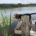 Todd Burrell - Facebook