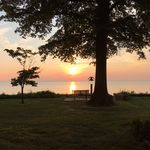 Todd Burroughs - @todd.burroughs - Instagram