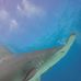 Todd Buss - Facebook