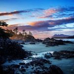 TODD BYRNES - @todd.byrnes - Instagram