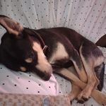 Todd Byrnes Sr. - @byrnessr.todd - Instagram